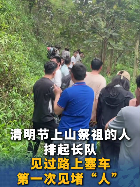 清明上山堵人笑不活了