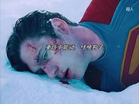 《超人》真的被这段看哭，狗狗的爱永远真诚！