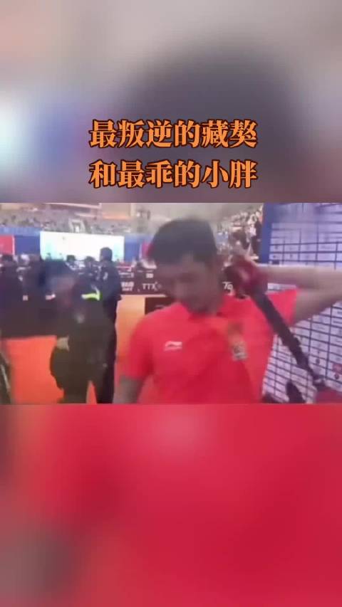 一个桀骜带刺，一个温润听话 一逆一乖，却是最懂彼此的乒乓双子星