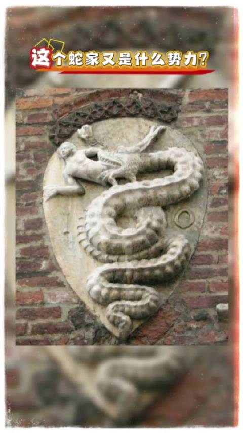 《西游记》蛇妖背景引疑问，蛟龙猜测浮现