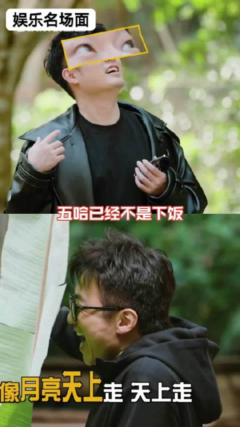 这期爆笑的梗是真多啊，看综艺还得是这些老艺人啊