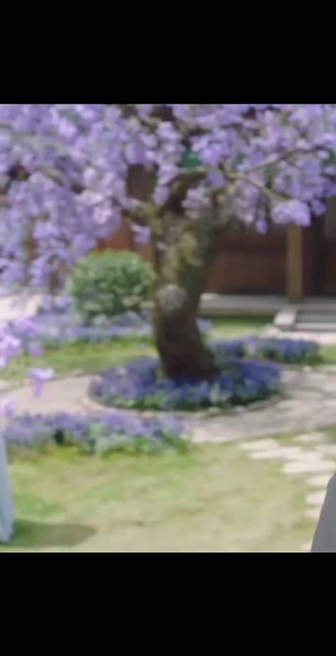 涂山璟的温柔真是让人难以忘怀 邓为演得太到位了