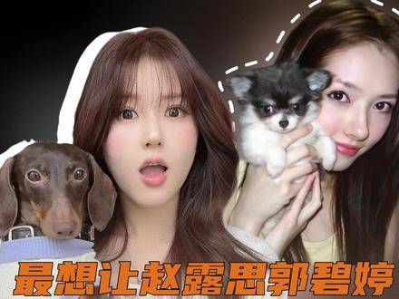 义务无需被动期待！ 最想让赵露思郭碧婷带狗参加的综艺
