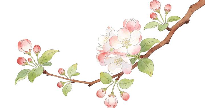 二十四节气之清明：雨清景明，万物向新