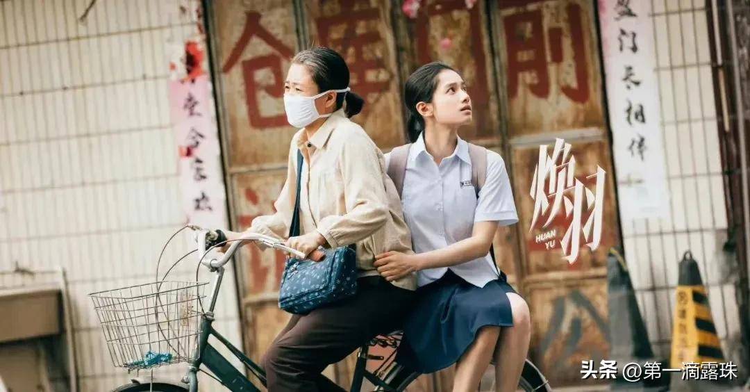 国产版黑暗荣耀《焕羽》今晚开播!张婧仪演完藏海传又演悬疑_乔青羽_明盛_姐姐