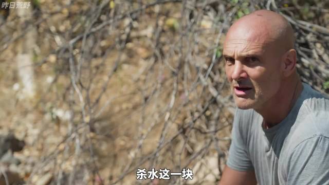 德爷到坦桑尼亚与哈扎比人生活七天，掏蜂蜜狩猎狒狒，体验原始部落的独特文化