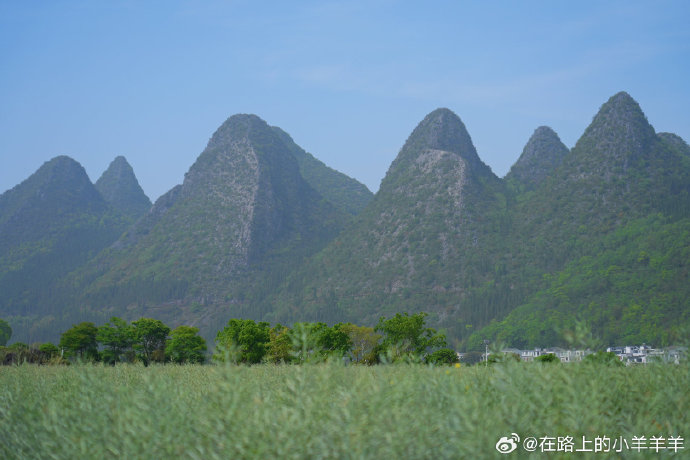 在万峰林景区内有哪些特色民宿可以推荐？