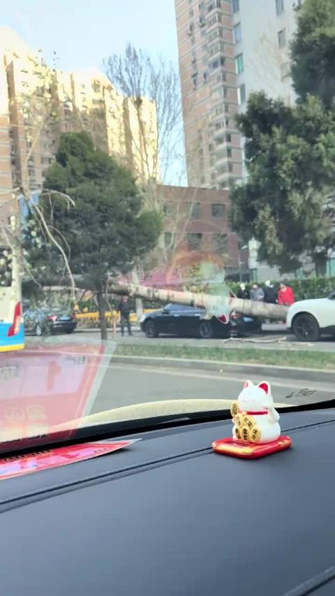 公交车和宝马，这应该谁感谢谁？