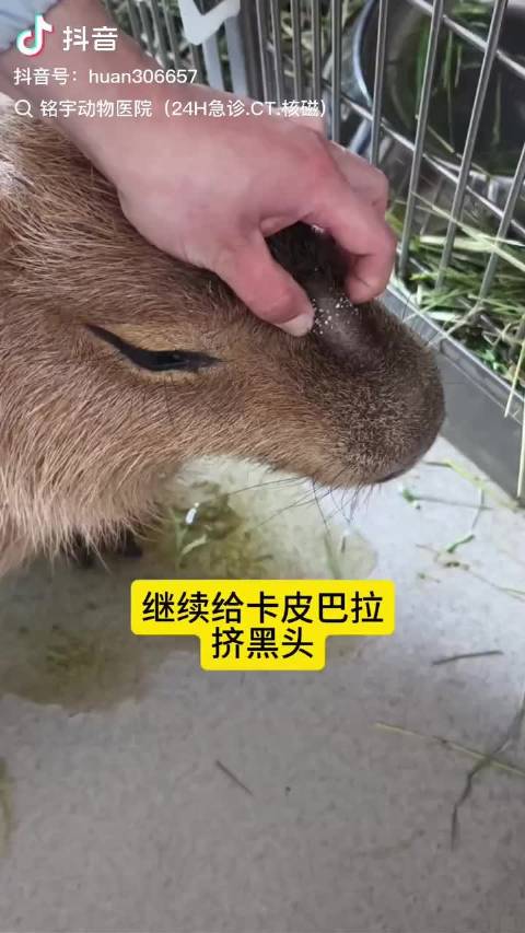小杰の皮肤管理（有点恶心慎点好吧）