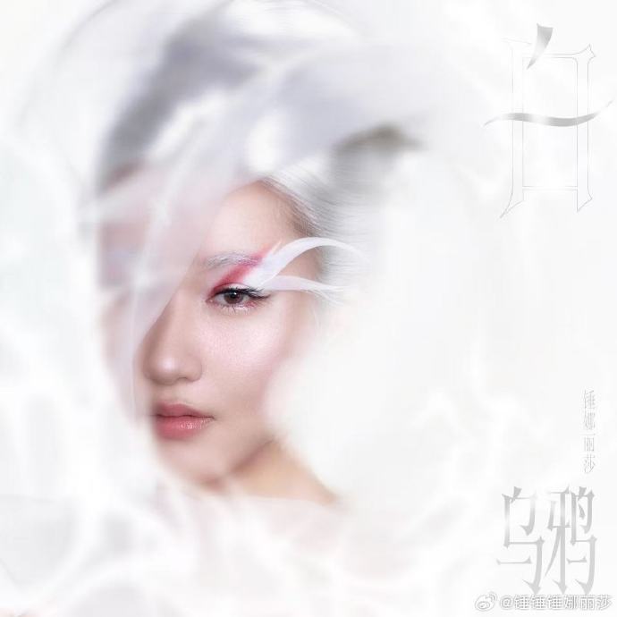 锤娜丽莎的新专辑《白乌鸦》讲述了什么样的故事和情感？