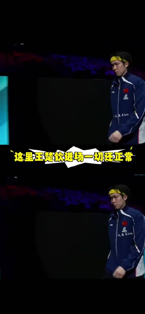澳门世界杯王楚钦展现运动精神，文明观赛守护竞技底线