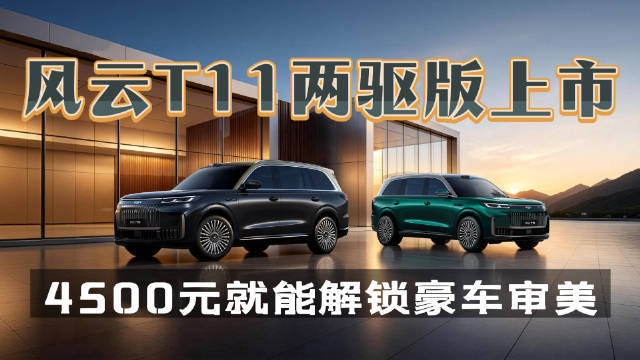 风云T11两驱版上市，4500元解锁双拼色