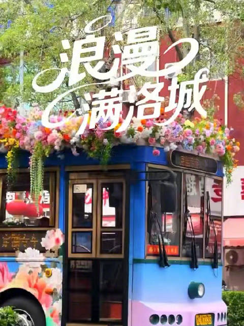 洛阳街头公交车簪花穿行步步惊艳
