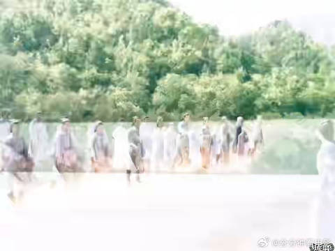 太好看了，因为一个片段追完整部剧qny