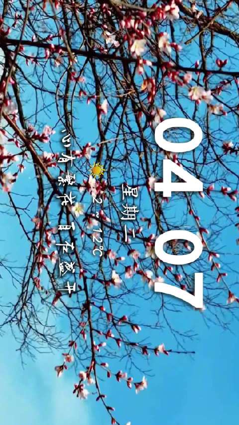 早安！沈阳 2026/4/7城市美学日历