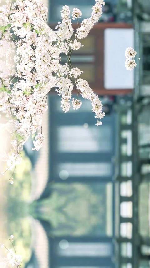 生活原本沉闷，跟你一起奔跑就会有风