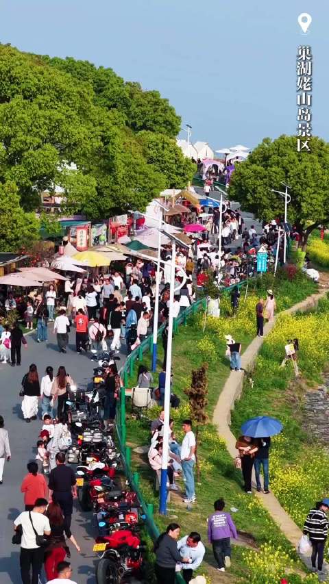 清明合肥巢湖景区接待游客8.53万人次，纸鸢活动引踏青热潮