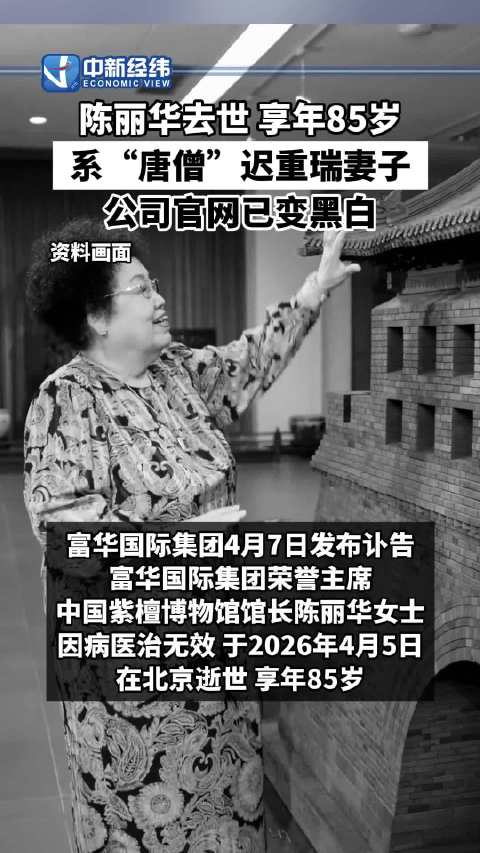 陈丽华公司官网已变黑白