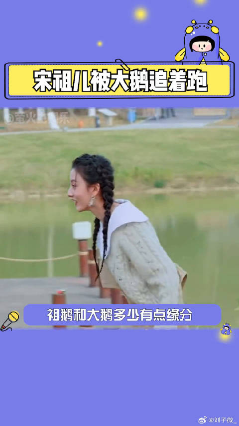 今天的快乐是综艺 微博VC计划