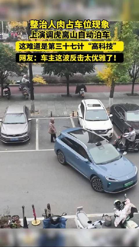 原来自动泊车是这样用的吖