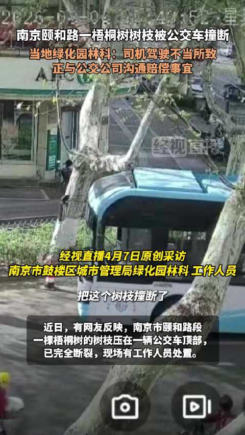 南京公交车撞上梧桐树系驾驶不当 当地绿化园林科：交通已恢复，正与公交公司沟通赔偿事宜