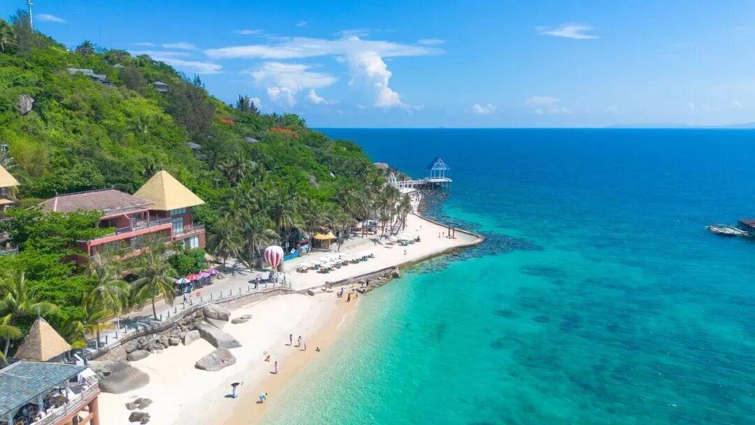分界洲岛：真正的海岛逃离，与海洋动物亲密互动的山海交响之旅