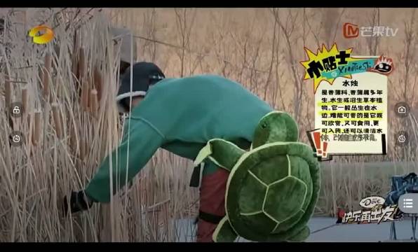 陆虎芦苇棒放烟花翻车，再就业男团再现综艺名场面