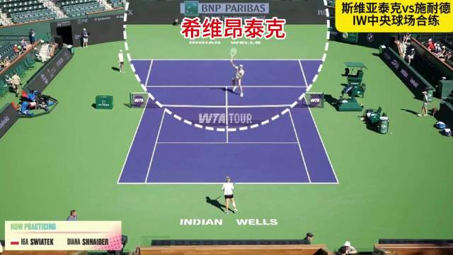 分享斯维亚泰克vs施耐德 IW合练（2）底线网前互喂截击高压球
