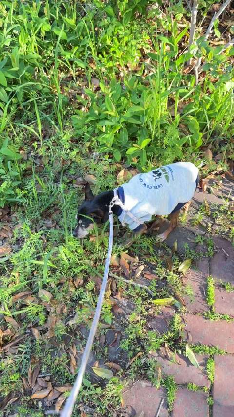 给自己治疗