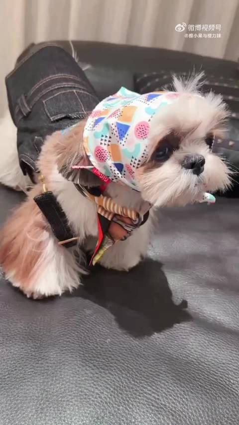 我呆淡定样子 更是无可奈何的样子！ 檀健次