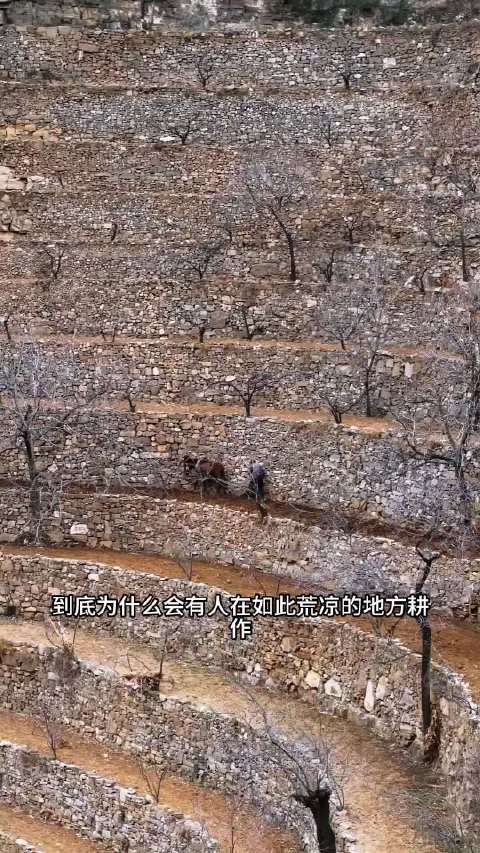 太行山悬崖梯田