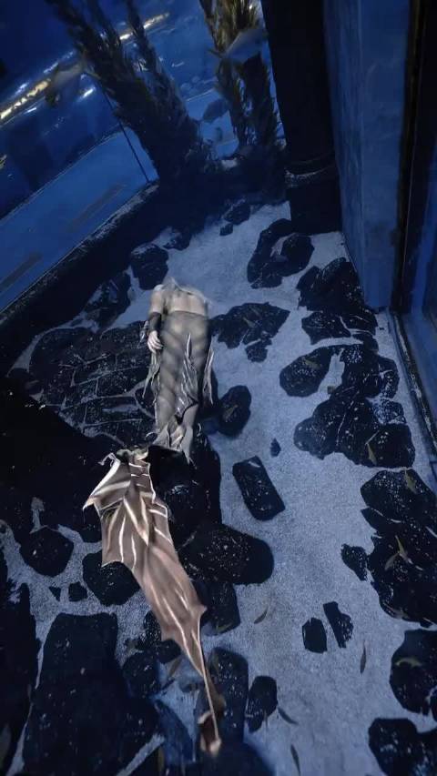 美人鱼