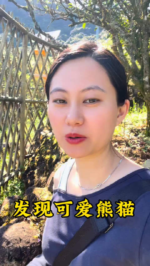 发现可爱的熊猫茶道茶界中国茶文化唐公茶馆凤凰单丛