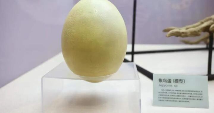 它们用沉默，发出最响亮的声音