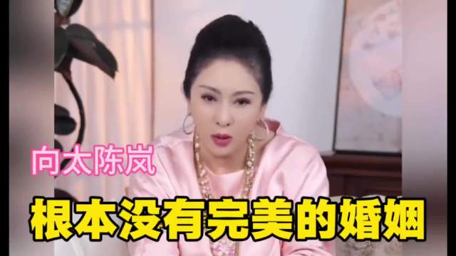 向太陈岚：根本没有完美的婚姻，我养她前妻一辈子！你们不要学！