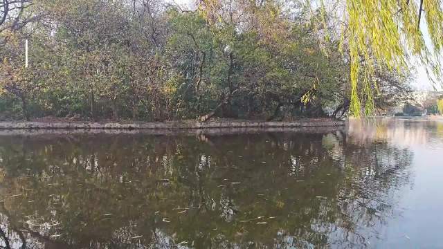 合肥工大斛兵塘畔现多类鸟踪，爱鸟周活动启动