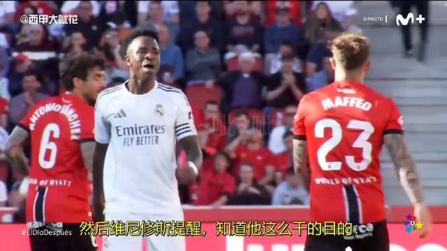 维尼修斯VS马菲奥之你要上电视（EDD 20260406）