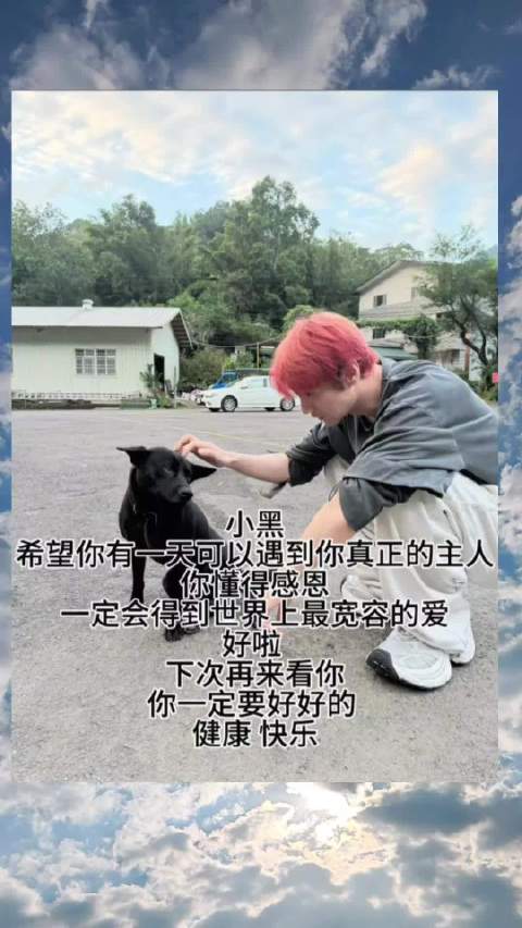 李荣浩粉丝晒宠物照，提及歌曲《小黄》