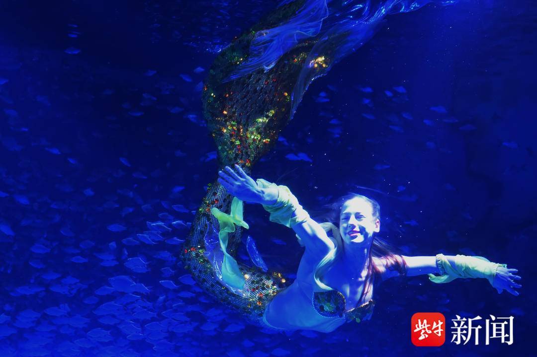 海底贺新春裸面美人鱼惊艳亮相南京海底世界三十周年庆邀您共赴“蔚蓝春节”