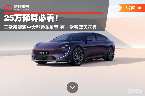 25万预算必看!三款新能源中大型轿车推荐有一款智驾天花板