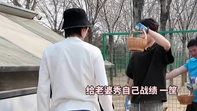 刘耀文帮宋亚轩捡鸡蛋秀战绩