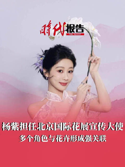 杨紫5部待播作品