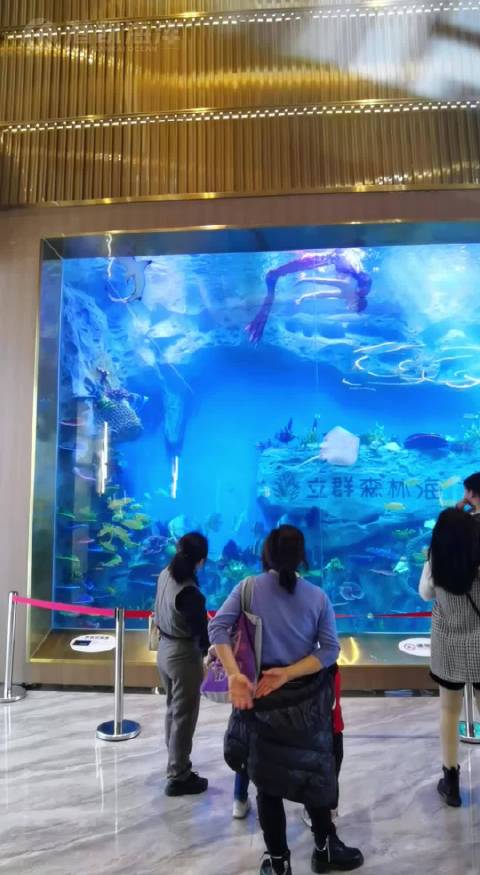 湖南-宁远 超大亚克力鱼缸完工，实景效果真的太惊艳！美人鱼表演巨型鱼缸定制