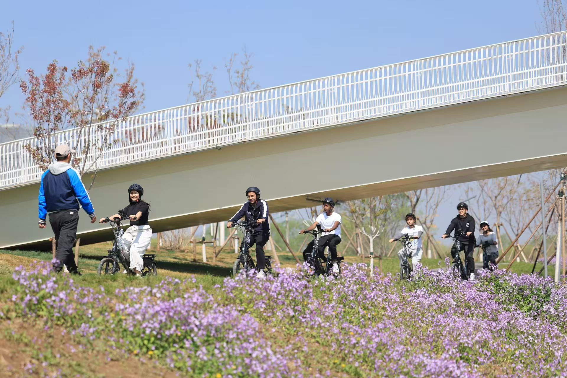 市民在岸邊騎行。新京報記者 王飛 攝