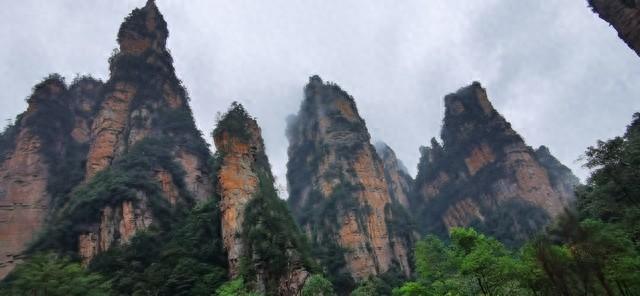 张家界自驾游攻略|阿凡达悬浮山+百龙天梯+袁家界+金鞭溪_杜鹃赏烂漫