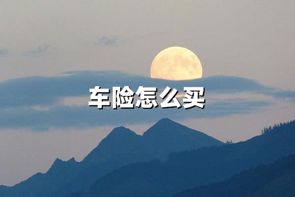 车险怎么买最划算?2025年最新避坑指南与投保攻略_沃保保险网