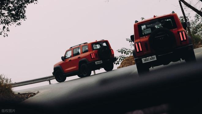 2024年最受欢迎的10款SUV:销量背后的市场密码|suv|比亚迪|油耗|燃油车|纯电动车型