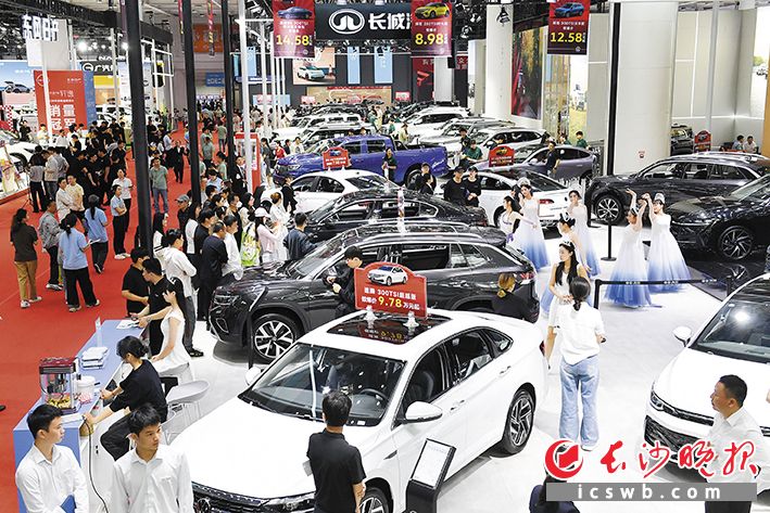 “五一”去哪逛？新车秀场别错过