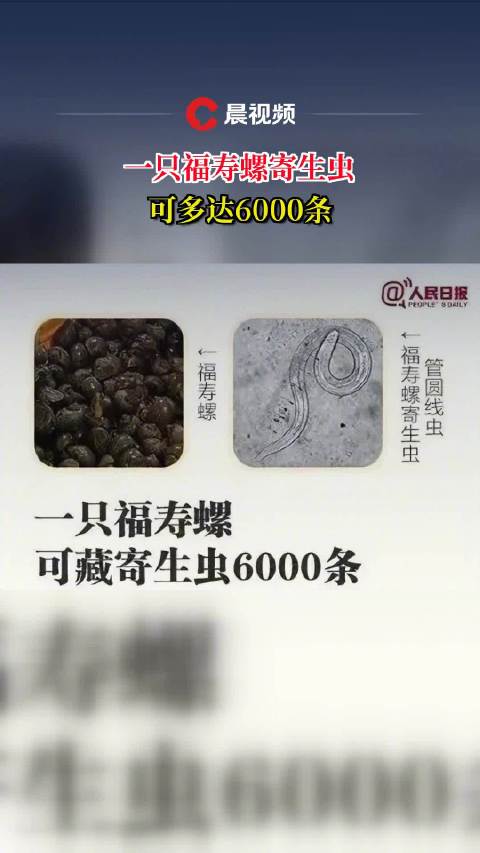 一只福寿螺寄生虫可多达6000条