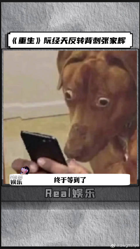 重生阮经天反转背刺张家辉 这反转彻底拿捏住我了！今天上映我现在就去看